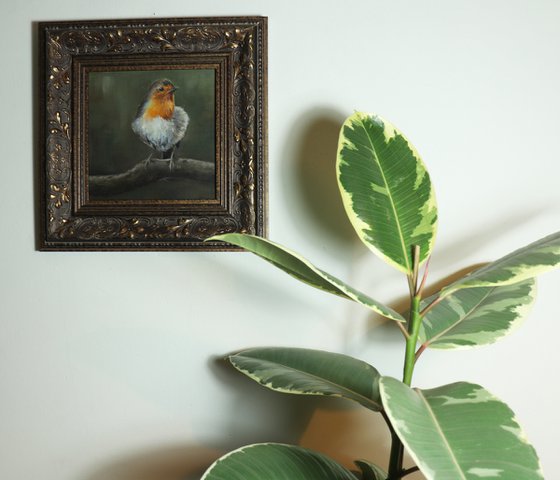 Lockdown's Morning Chorus Series - Robin, Bird Artwork, Animal Art Framed