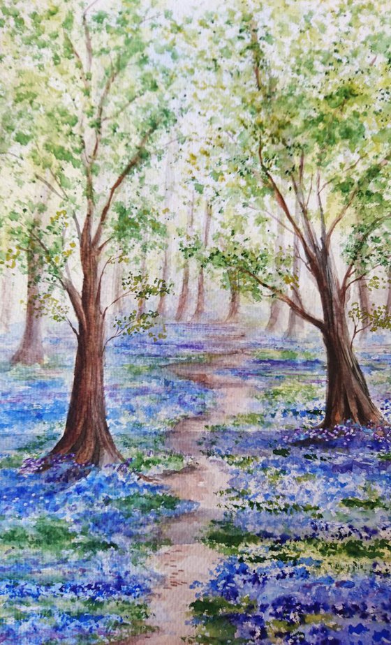 Bluebell woods 2   16"x12" mounted