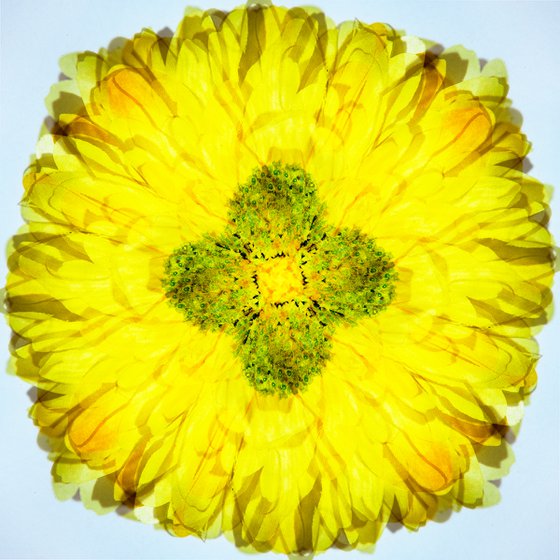 kaleidoscope -Flower