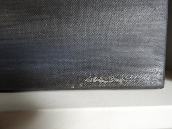 The plants vase with house