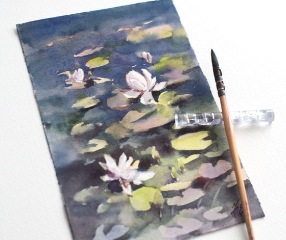 Water lilies, River flowers, White on dark blue