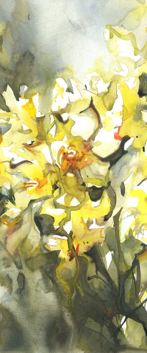 "Yellow daffodils -2" by Merite Watercolour