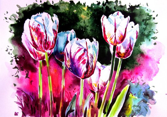 Tulips in the garden