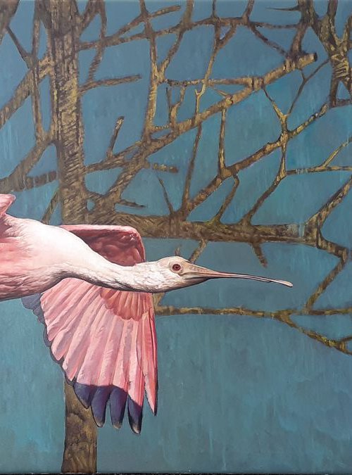 A Spoonbill in Flight by Tatiana Rezvaya