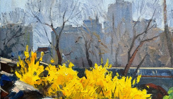 Early Spring in Central Park