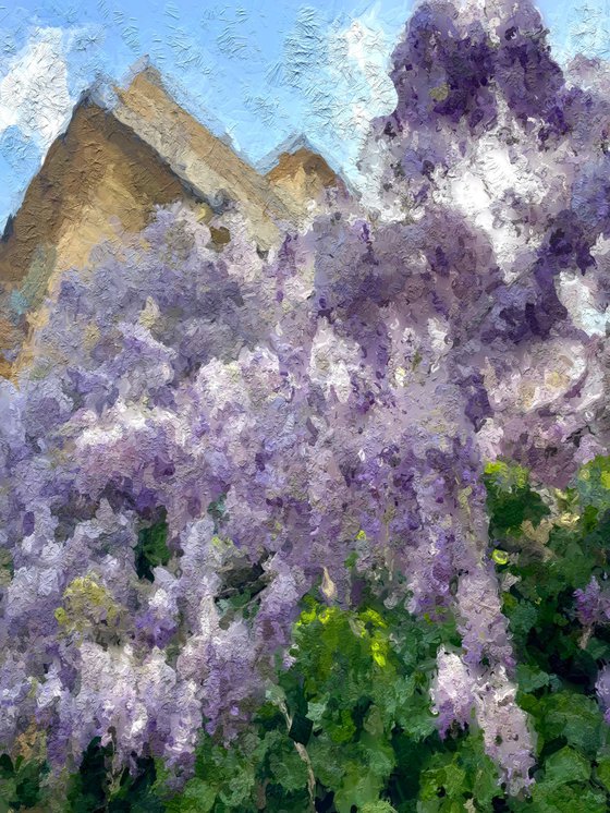 ABC#186 Wisteria