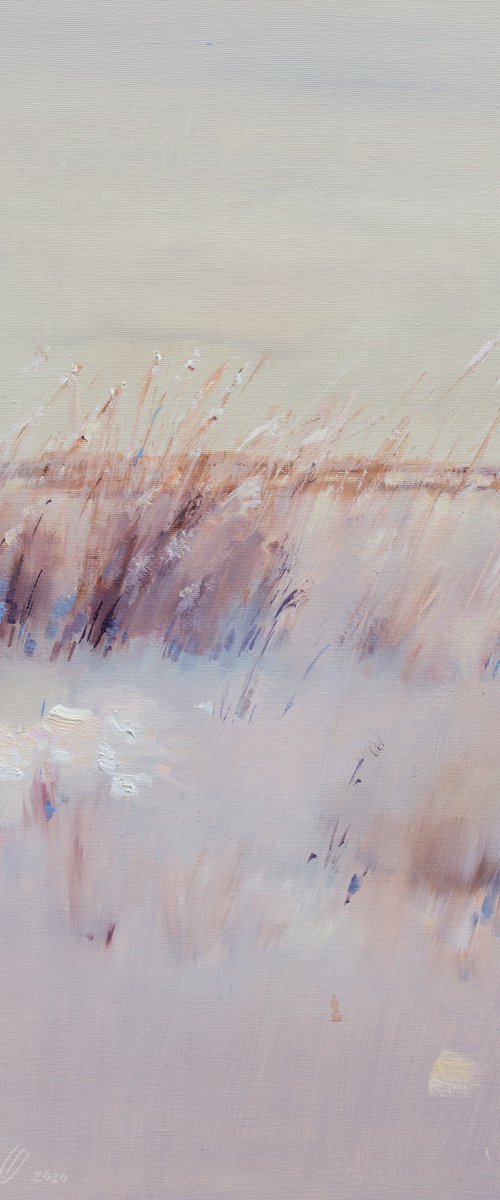 First snow by Olha Laptieva