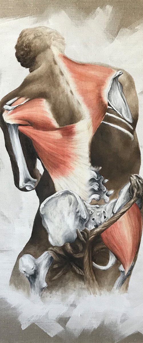 Anatomical study of Hercules and the Nemean Lion by Sofia Fresia