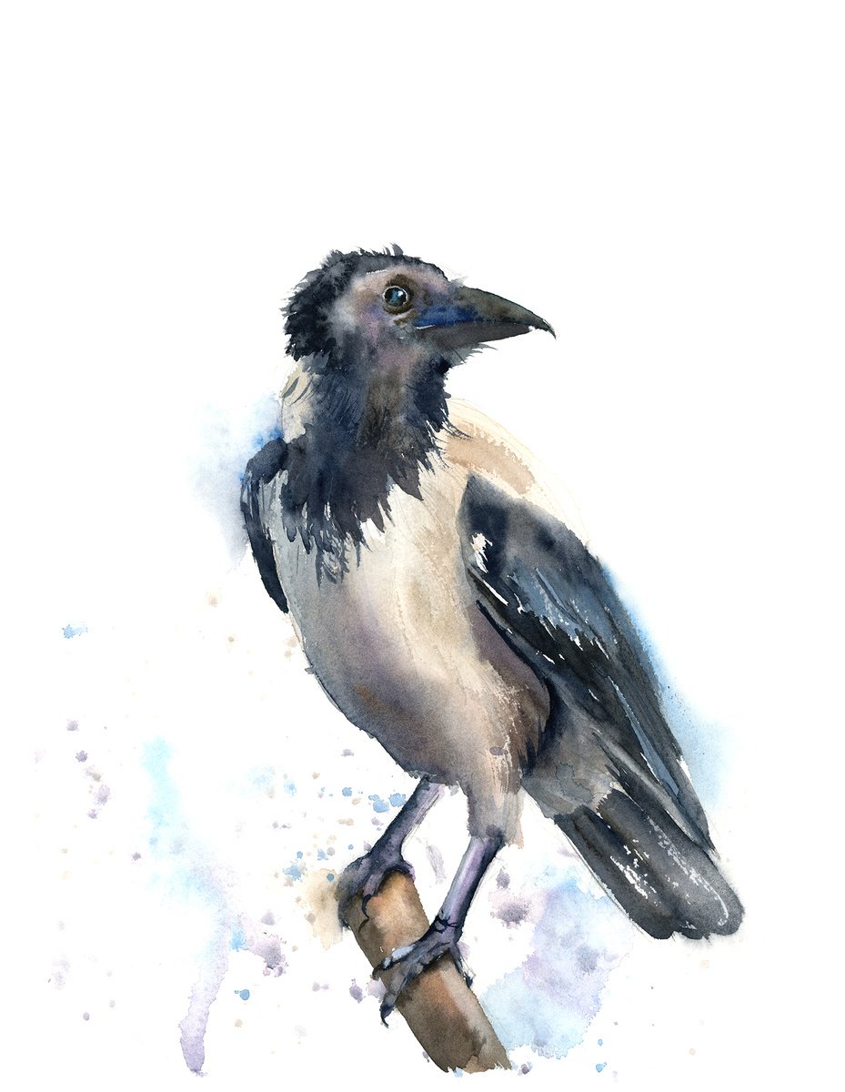 Impressionistic Animal Watercolour By Olga Tchefranov (Shefranov), 12 X 15", Crow On A Branch, Original Artwork