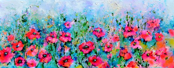Wild Red Poppy, Poppies Field