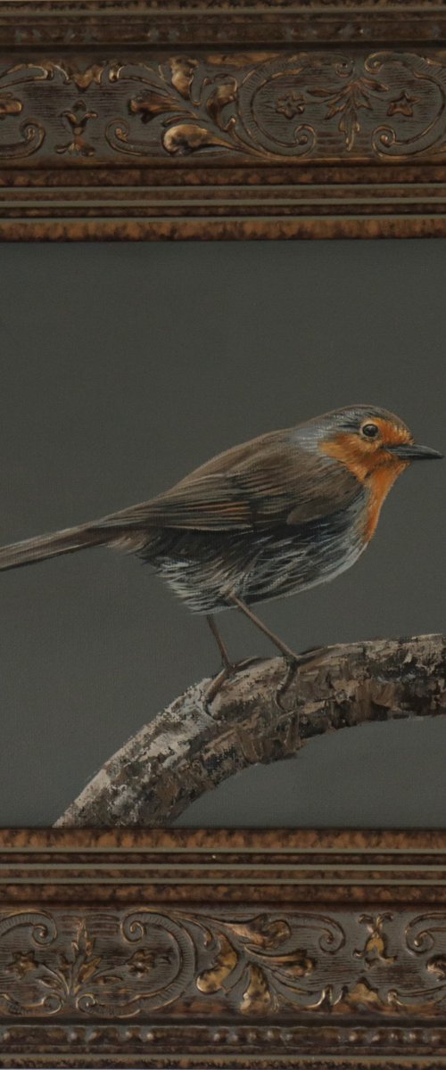 Red Robin on a Branch by Alex Jabore