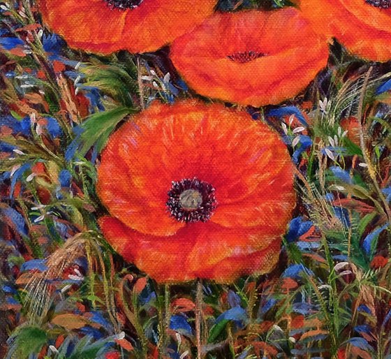 Poppies with wild flowers.