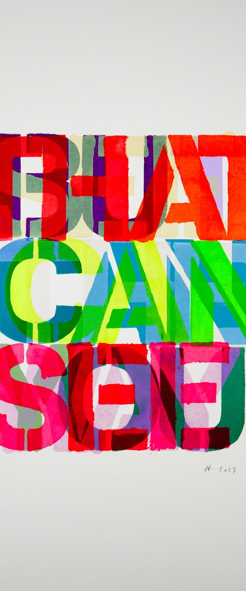 Can You See (screen print) by Niki Hare