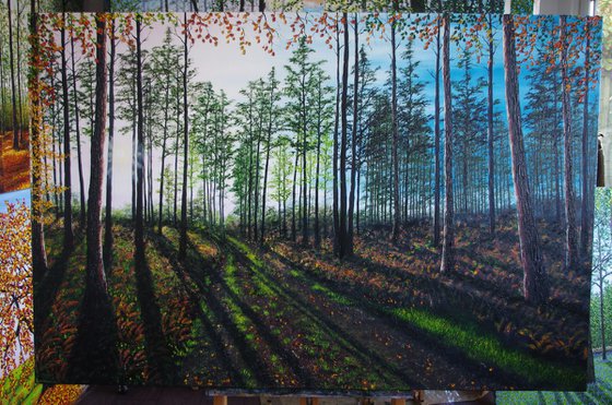 Startling Afternoon shadows.