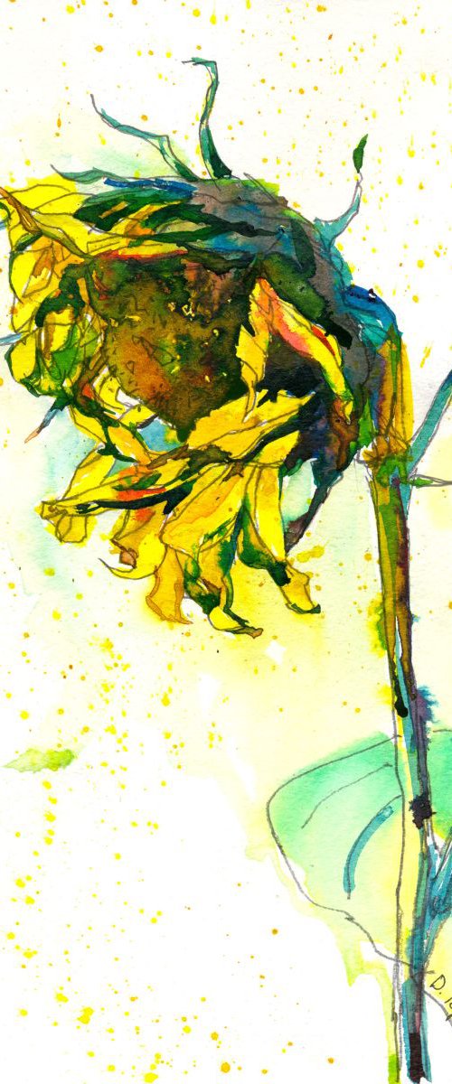 Sunflower, ink by Dima Braga
