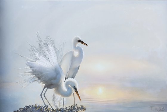 A FAMILY NEST /EGRETS