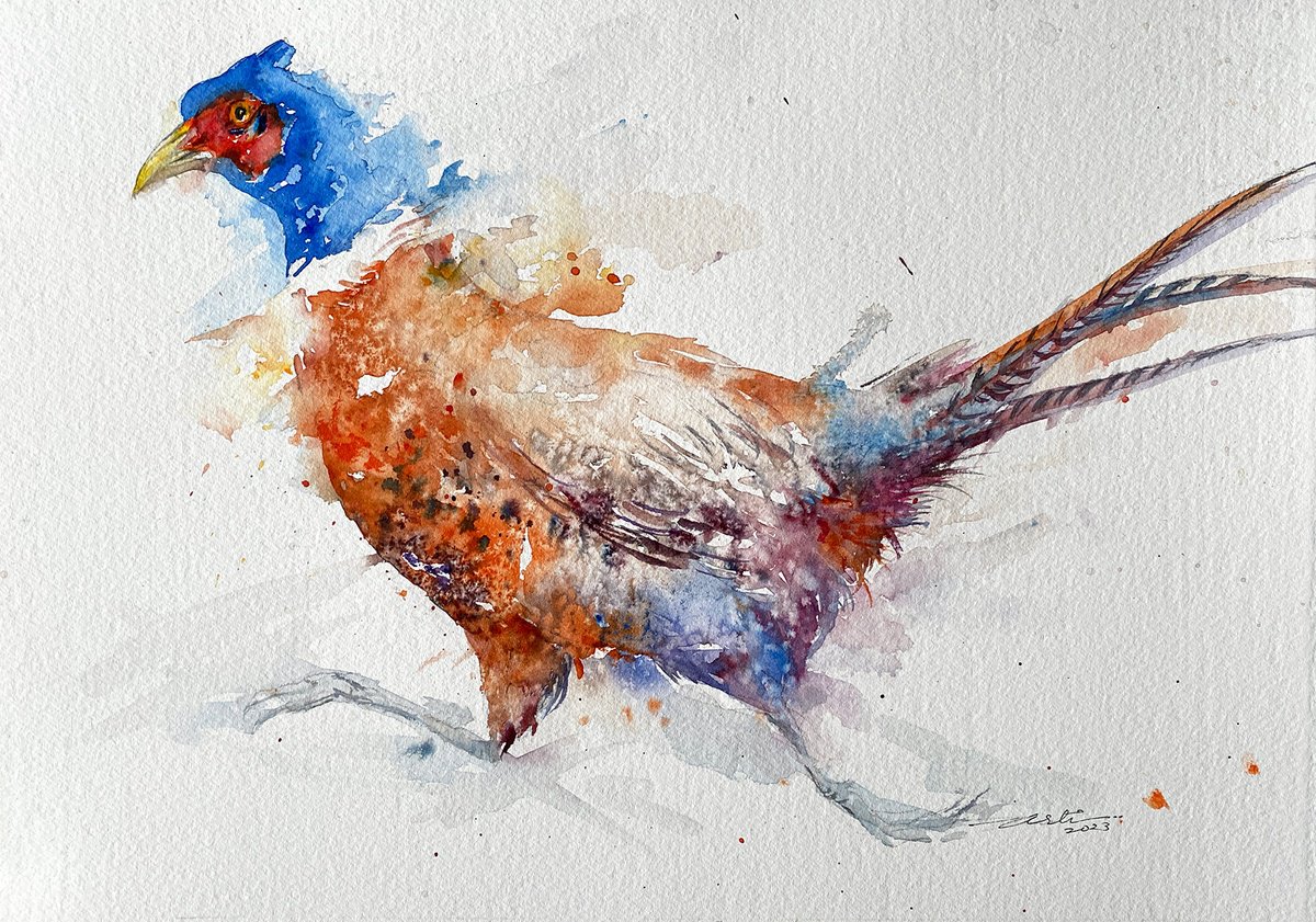Impressionistic Animal Watercolour By Arti Chauhan, 17 X 13, Run For It _Running Pheasant, Original Artwork
