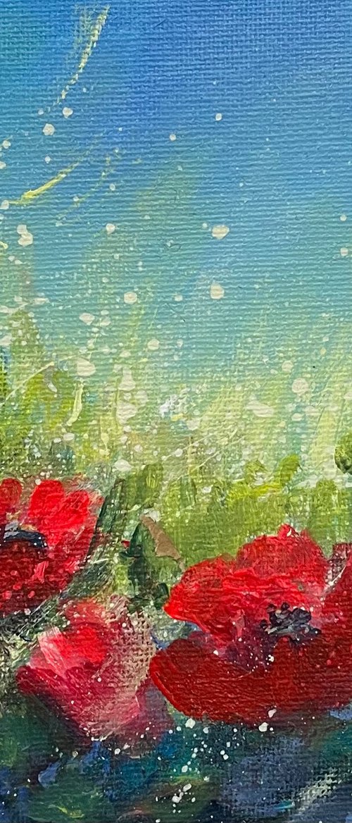 Poppies in the shade by Emma Sian Pritchard