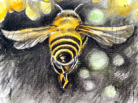 Charcoal Honey Bee