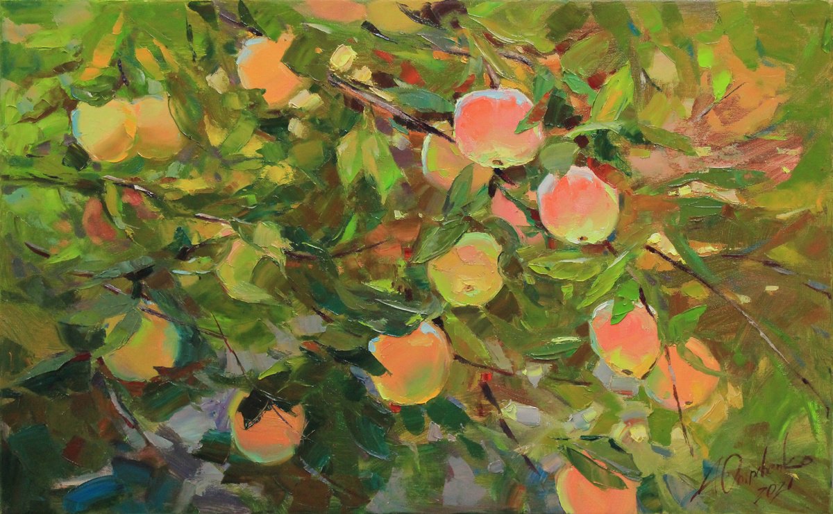 Carpathian apples in light by Alisa Onipchenko-Cherniakovska