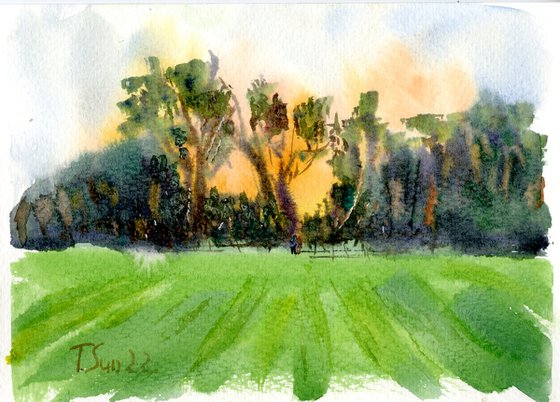 The sunset on the field, England