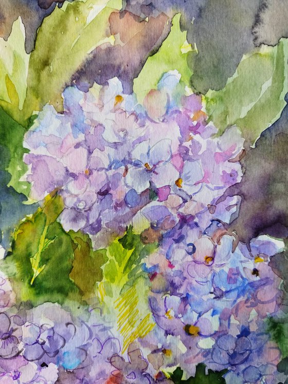 Blue Hydrangeas Art 9 by 12 inches