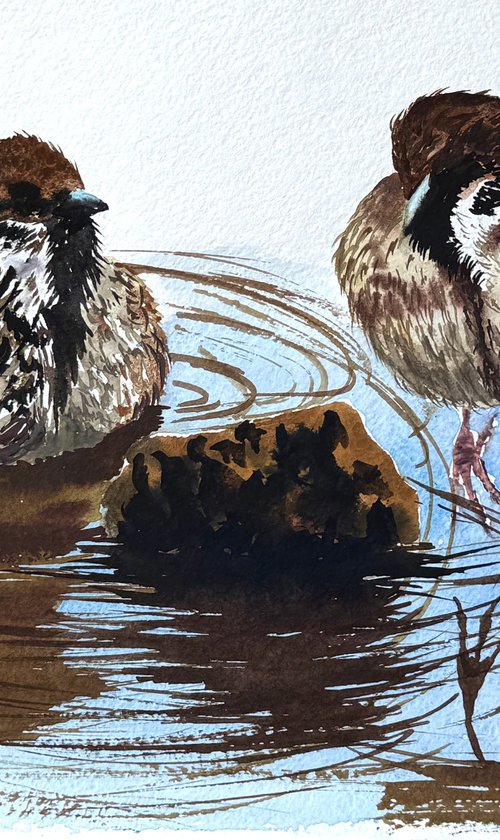 A Pair of Wild sparrows Birds by Yuliia Sharapova