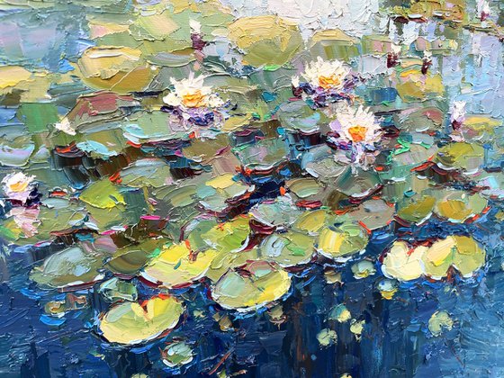 "Water lilies "
