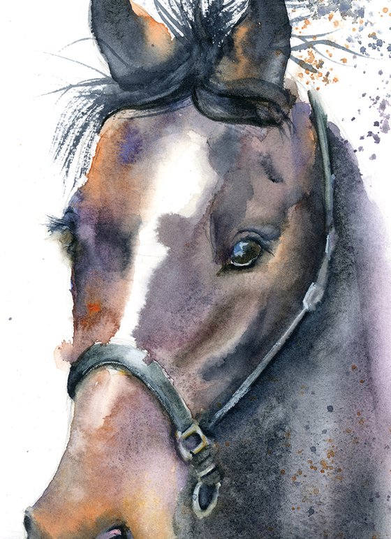 Horse portrait (2)