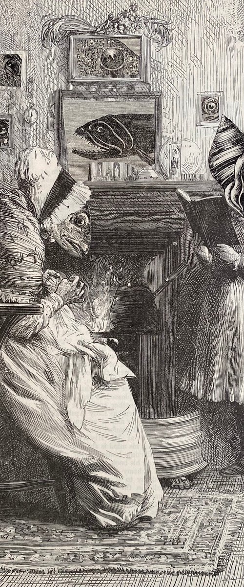 Alice in wonderland stories by Tudor Evans