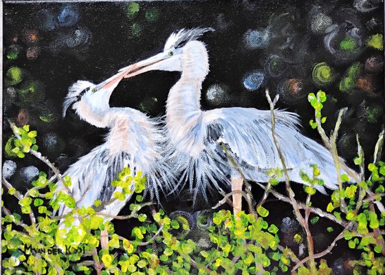 BLUE HERONS IN LOVE