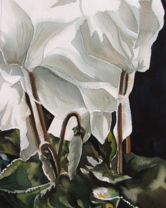 A painting a day #7 "Autumn Cyclamen"