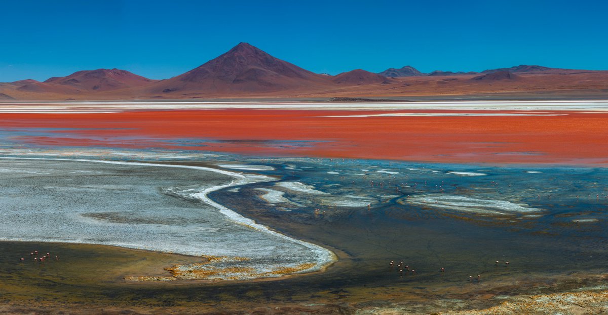 Bolivia. Laguna Colorada 1 by Pavel Oskin