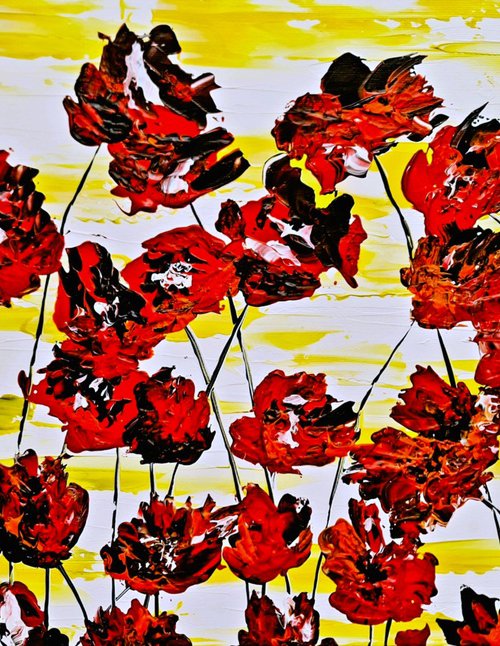 Red Poppies 3 by Daniel Urbaník