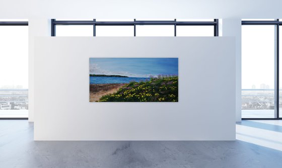 Sea Thrift and Gorse on Hibre Island  50cm x 100cm