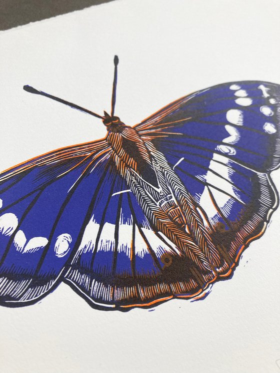 Purple Emperor