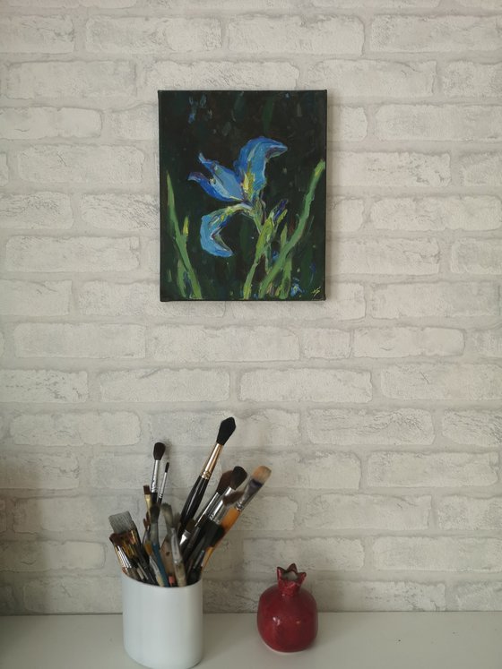 Blue iris