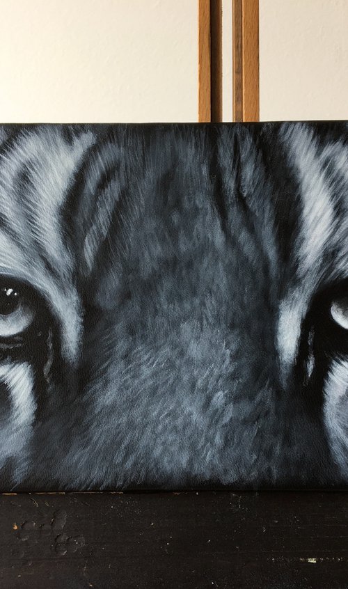Tiger Eyes: Monochrome by Karl Hamilton-Cox