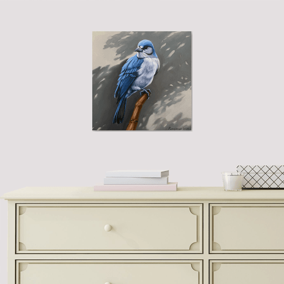 Blue Jay’s Vigil