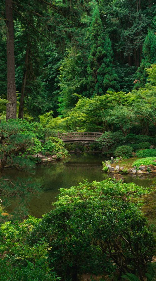 MOON BRIDGE by Harv Greenberg