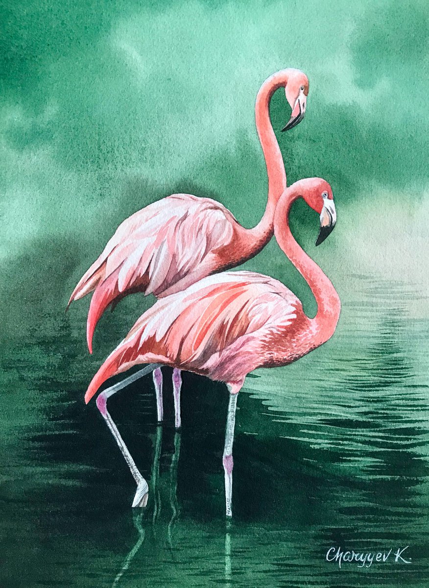 Flamingos by Kakajan Charyyev