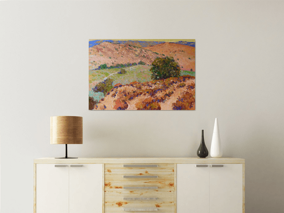 California Foothills. Summer