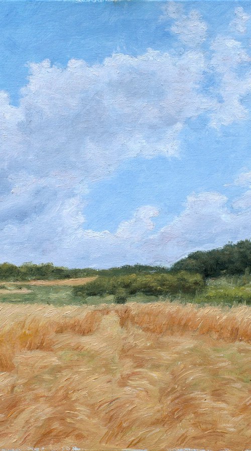 The Wheat Fell by Dejan Trajkovic