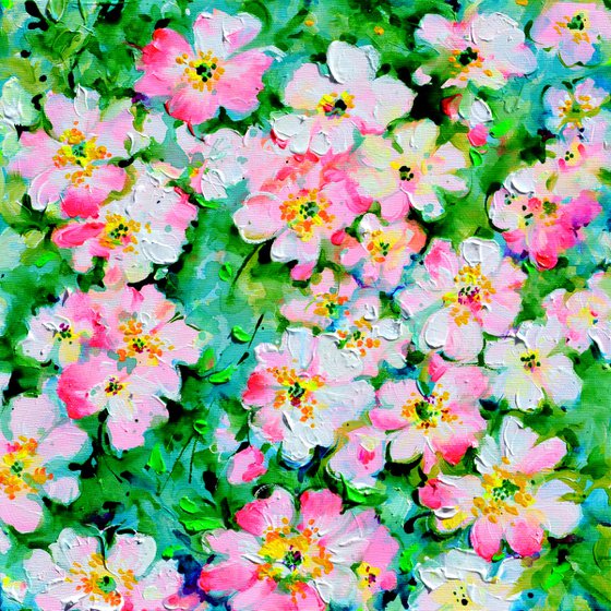 Wild White and Pink Roses