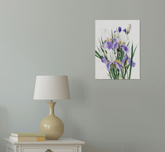 Iris Flowers