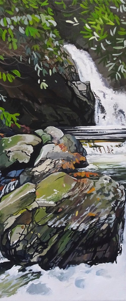 Cascade Falls Tollymore Forest by Joseph Lynch