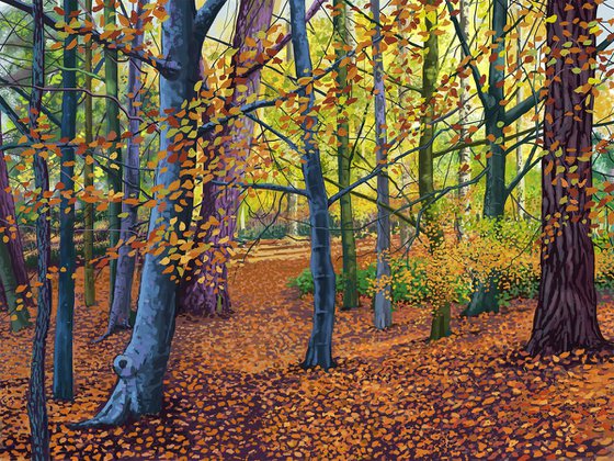 Autumn, Yearsley Woods, North Yorkshire