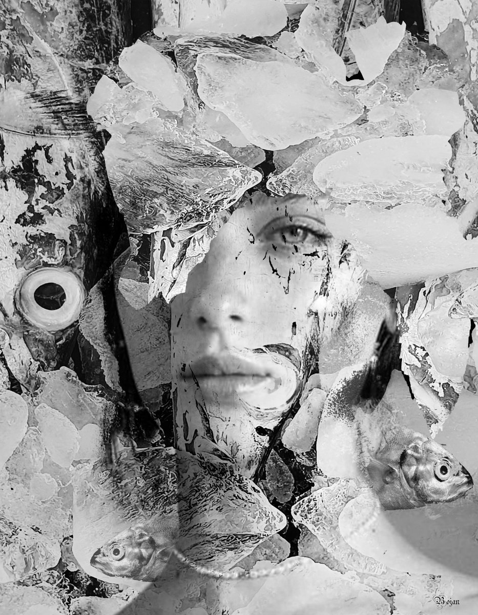 Illustrative Portrait Photograph By Bojan Jevtic, 33 X 43, Save The Planet, Original Artwork