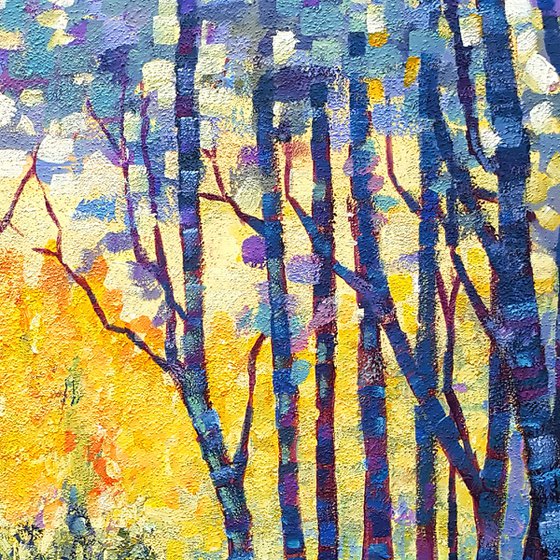 Sunbeams in the forest