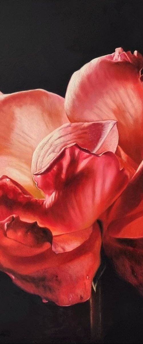 "To the light.  "  rose red flower  liGHt original painting  GIFT (2022) by Anna Bessonova (Kotelnik)